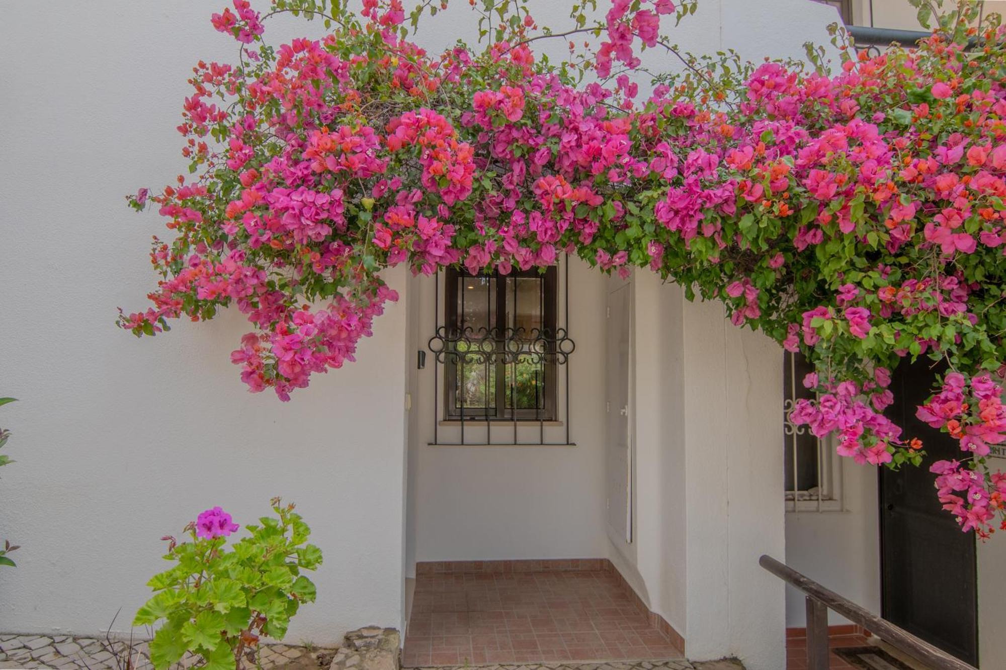 אלבופיירה Coastal Retreat With Pool And Beach Access By Drago Rentals מראה חיצוני תמונה