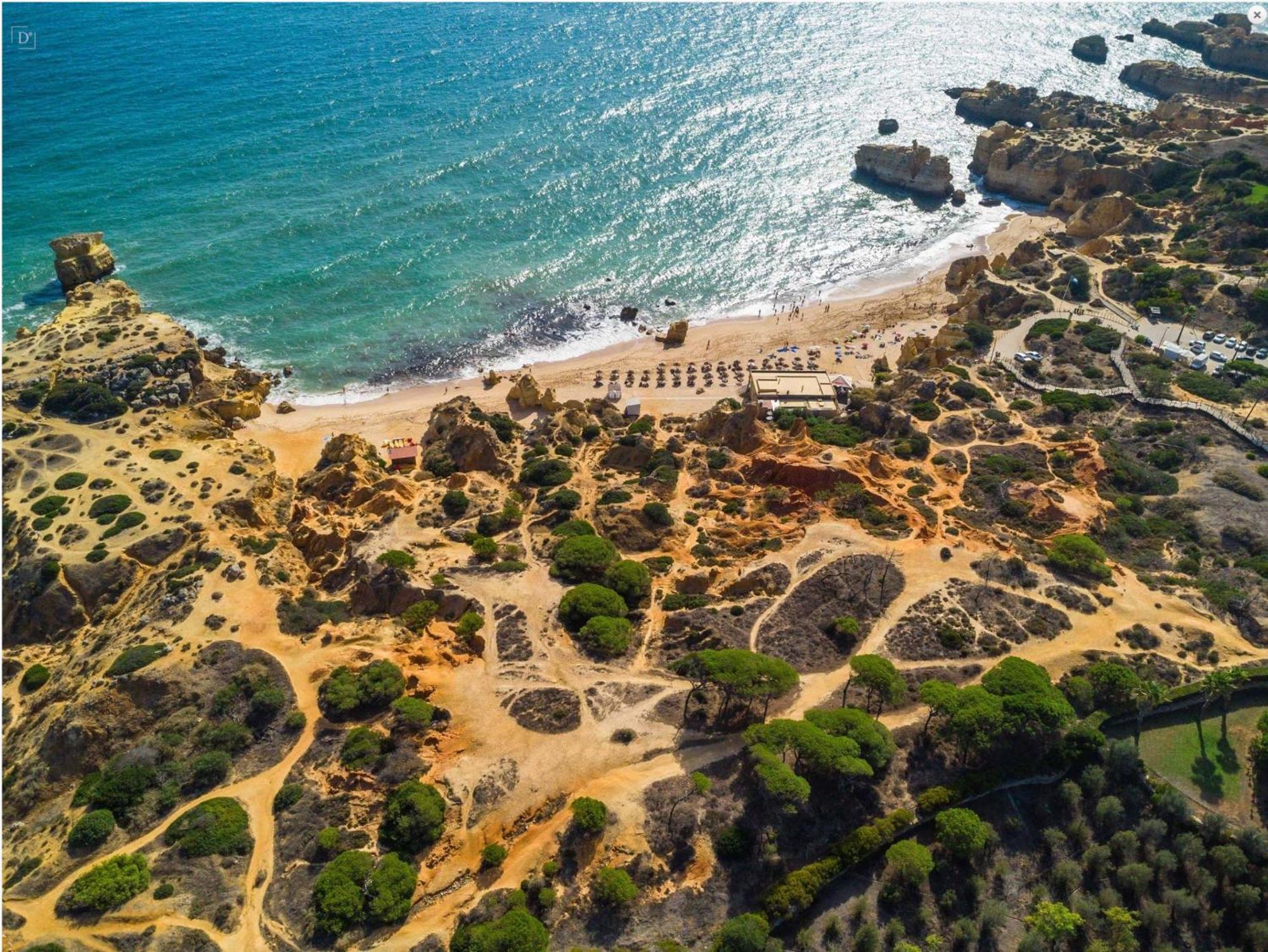 אלבופיירה Coastal Retreat With Pool And Beach Access By Drago Rentals מראה חיצוני תמונה